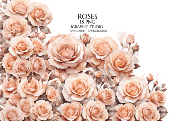 Unfolding Beauty: Designing with Rose Clipart